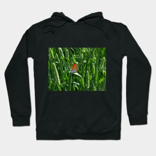 Butterfly on green grass photo design Hoodie